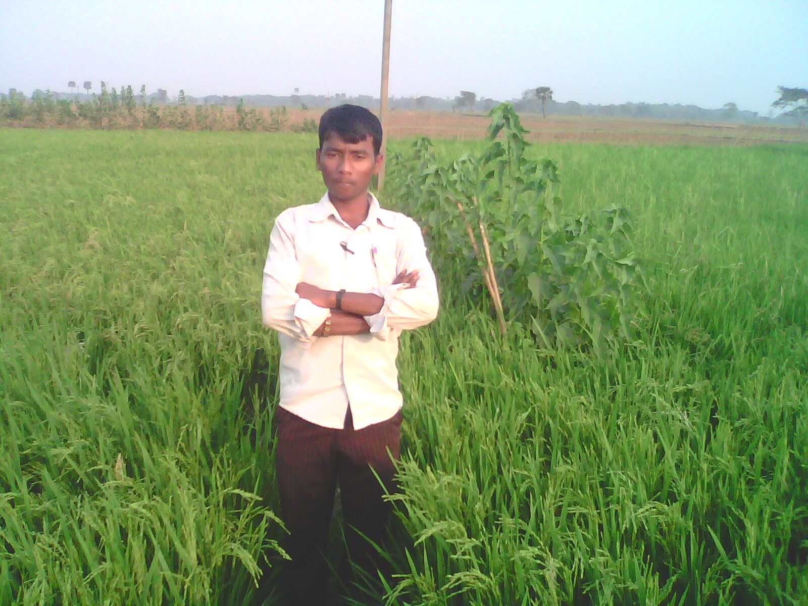 Hari Omm